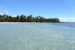 DSC09381